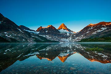 绿色节能环保的ddos网页端